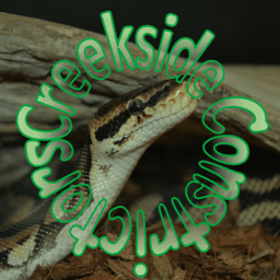 Creekside Constrictors  profile photo
