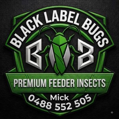 Black label bugs 