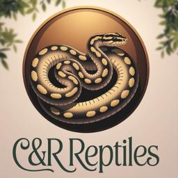 C&R Reptiles
