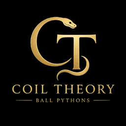 Coil Theory  logo