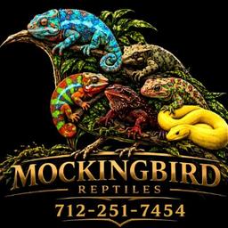 Mockingbird Reptiles logo