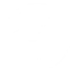 Snake Loop Reptiles