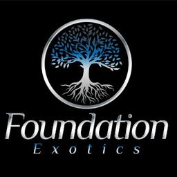 Foundation-Exotics logo