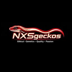 NXSgeckos logo