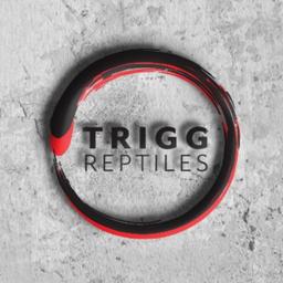TRIGG Reptiles logo