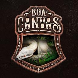 Boa Canvas logo