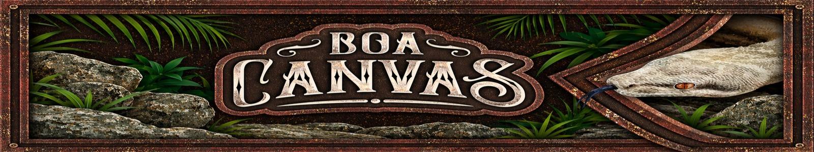 Boa Canvas cover