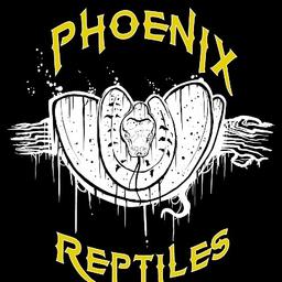 Phoenix Reptiles