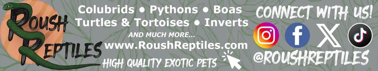 Roush Reptiles cover