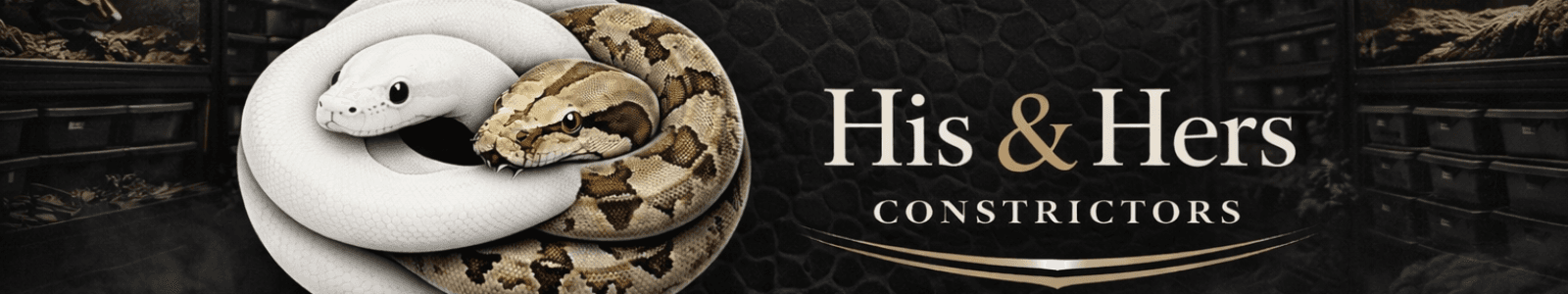 His and Hers Constrictors cover