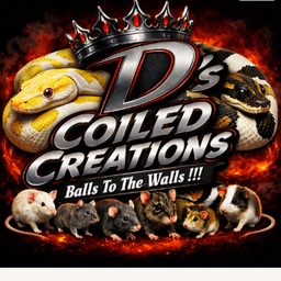 D's COILED CREATIONS