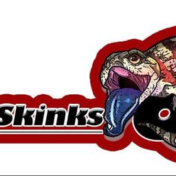 SkinksOC logo