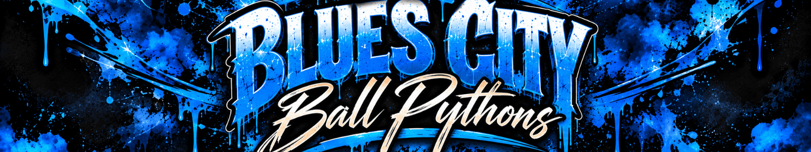 Blues City Balls cover