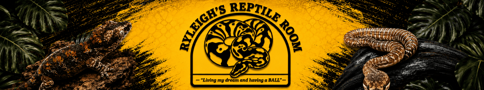 Ryleigh’s Reptile Room cover