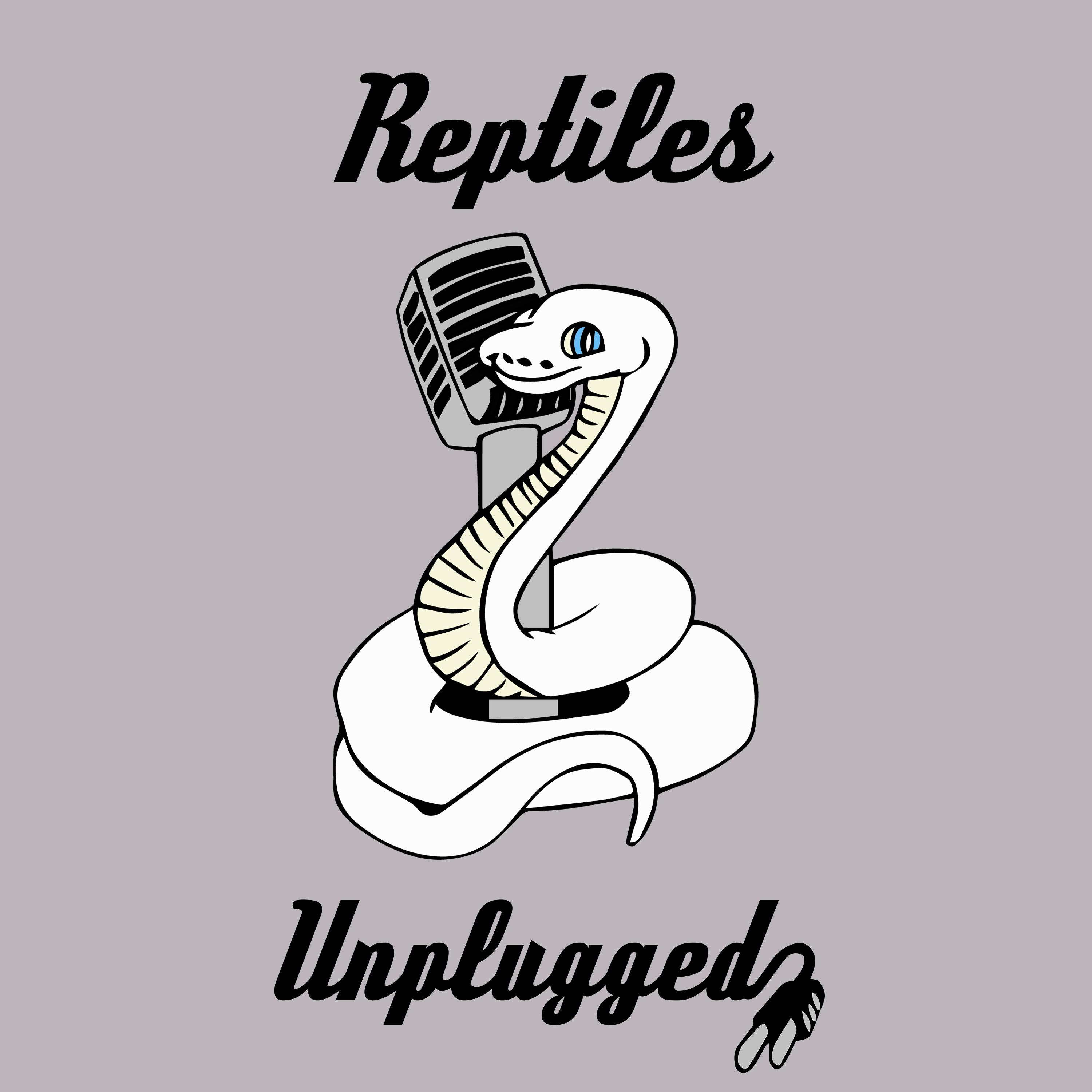 #1 Podcast