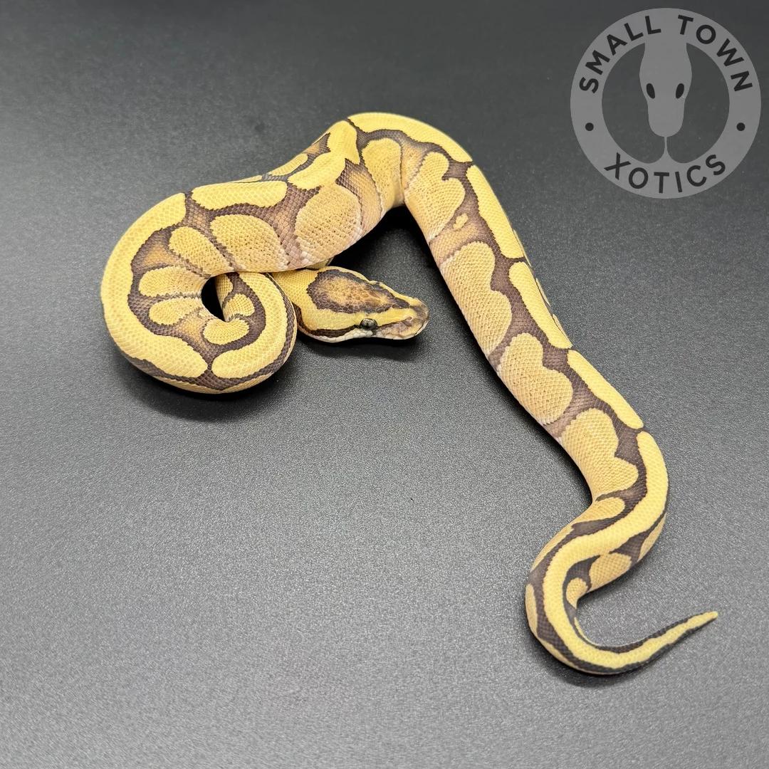 Thumbnail 3