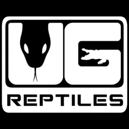 Underground Reptiles