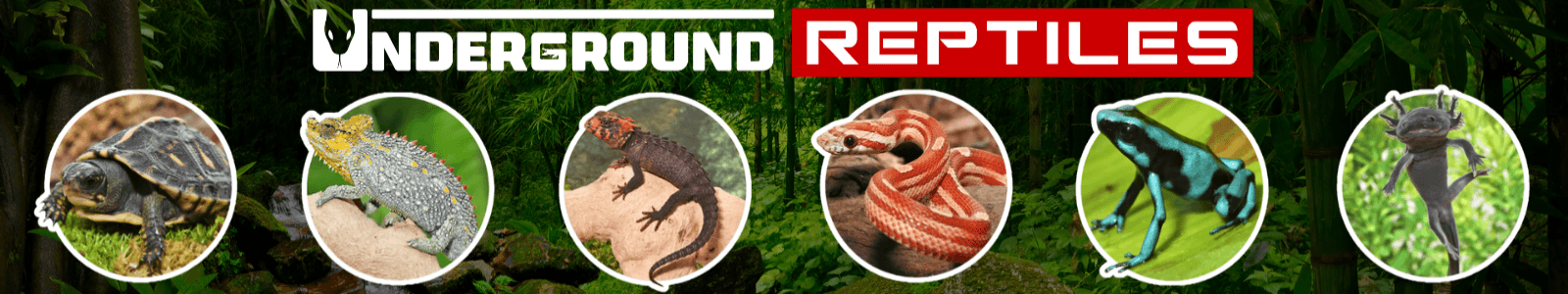 Underground Reptiles cover