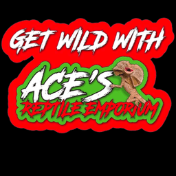 Ace Reptile Emporium logo